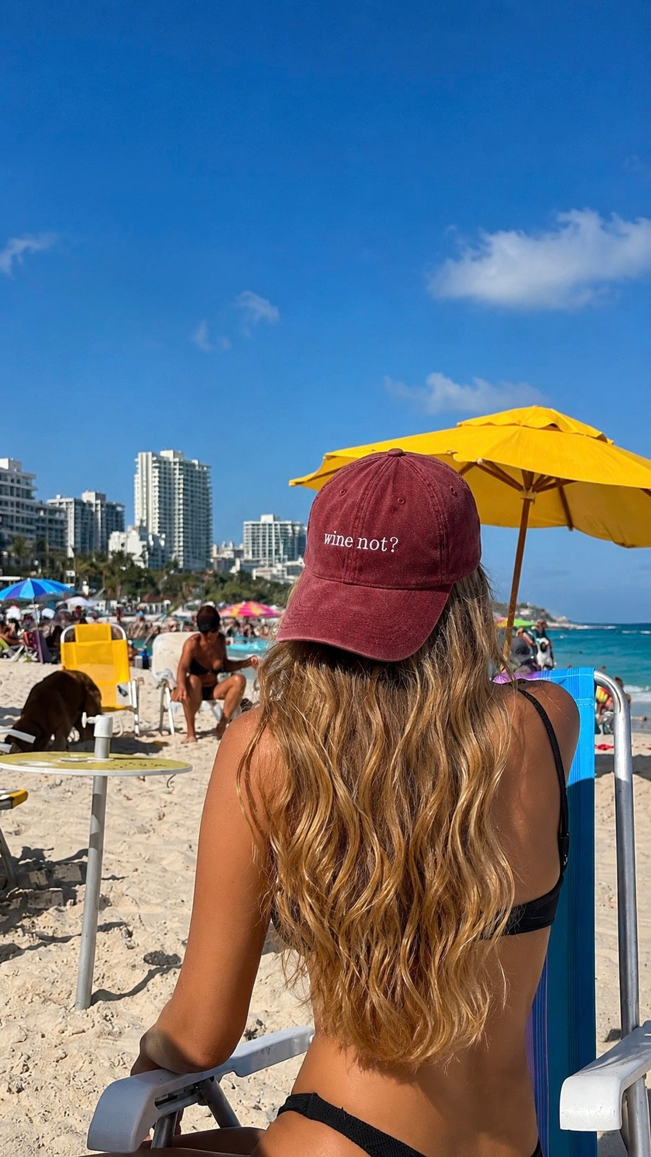 Wine Not? Embroidered Cap
